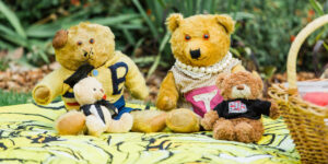 Elm & Willow: Evening Storytime by the Lake