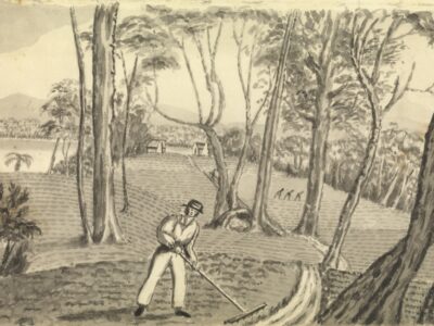 Convict-labour Convict-labour