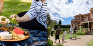 Twilight Picnics on the Lawn