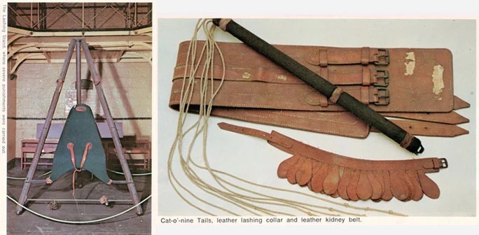 whipping-paraphenalia-combo-original-edit-3