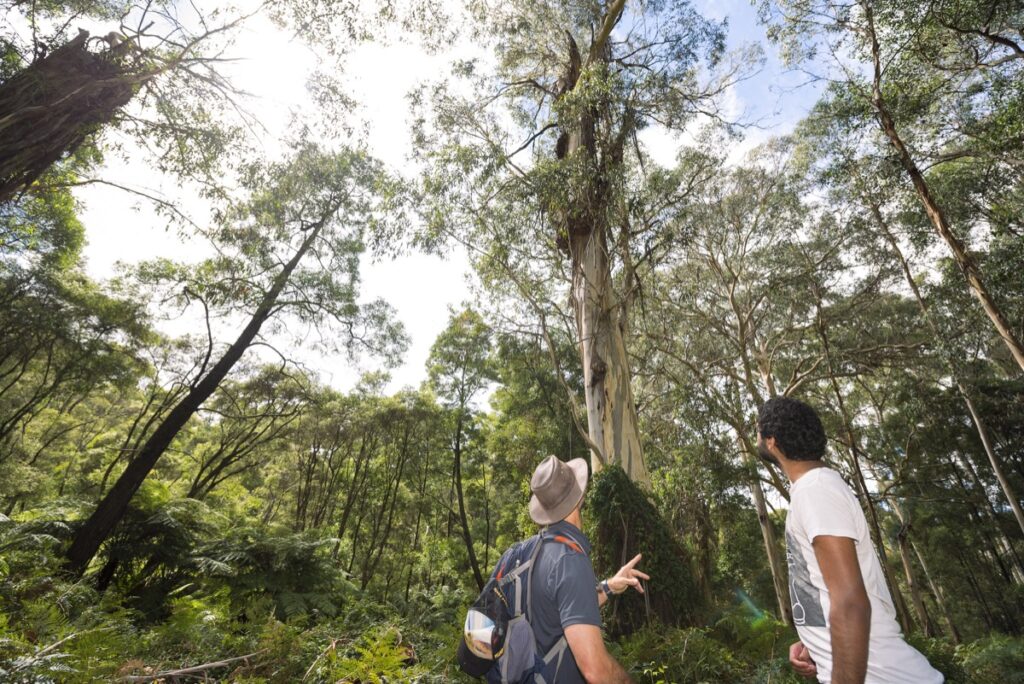 ┬®-Annette-Ruzicka-TFN-0077-PRINT